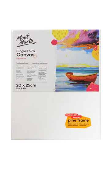 Canvas 20x25cm CSST2025