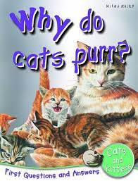 Why do Cats Purr? Q&A