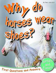 Why Do Horses Wear Shoes? Q&A