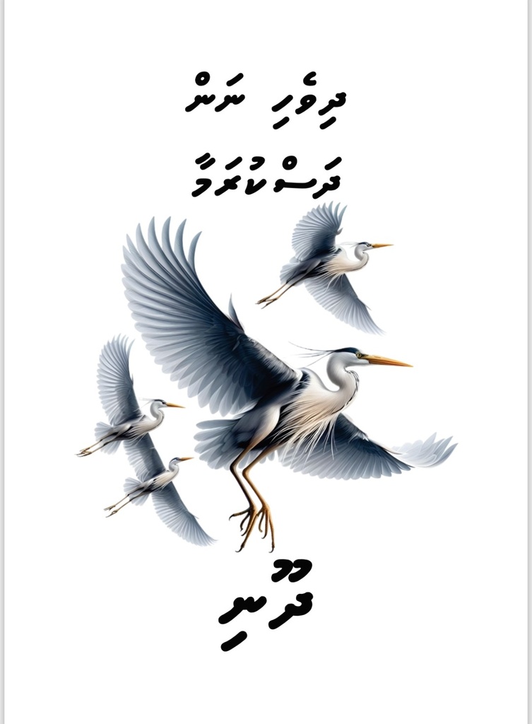 Dhivehi Nan Dhaskuramaa - Dhooni
