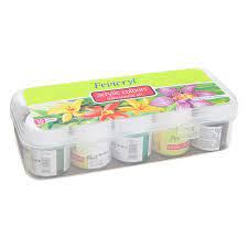 [0260545] Fevicryl Acrylic Colours 10 Colour set 15ml