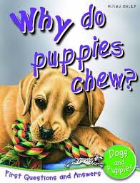 [1180100] Why Do Puppies Chew? Q&A