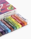 Oil Pastels 12 Shades