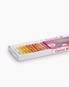 Oil Pastels 25 Shades
