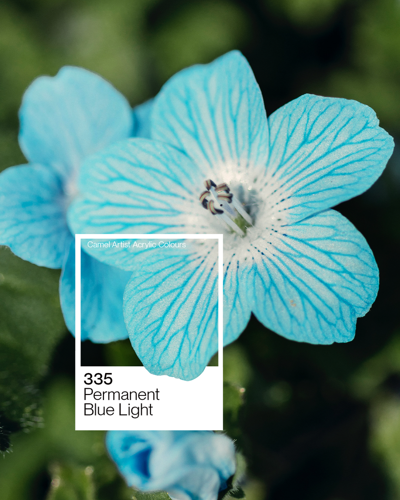 Artist Acrylic Colours 500 ML-Permanent Blue Lightht