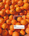 Artist Acrylic Colours 500 ML-Permanent Orange