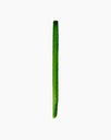 Artist Brush 69Series Flat No 7