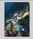 Truly Maldives Hawksbill Turtle & Emperor Angle Fish -100Pcs Jigsaw Puzzle