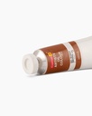 Artist Oil Colour Burnt Sienna 120MLSR1