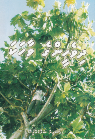 Dhivehinge Vaahaka