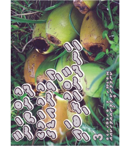 Dhuhthanaa Ivunu Aduge Handhaanhuribai - 3