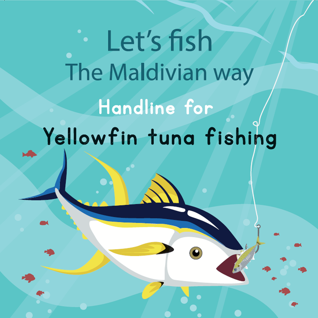 Lets Fish the Maldivian Way: Handline for Yellowfin Tuna Fishing
