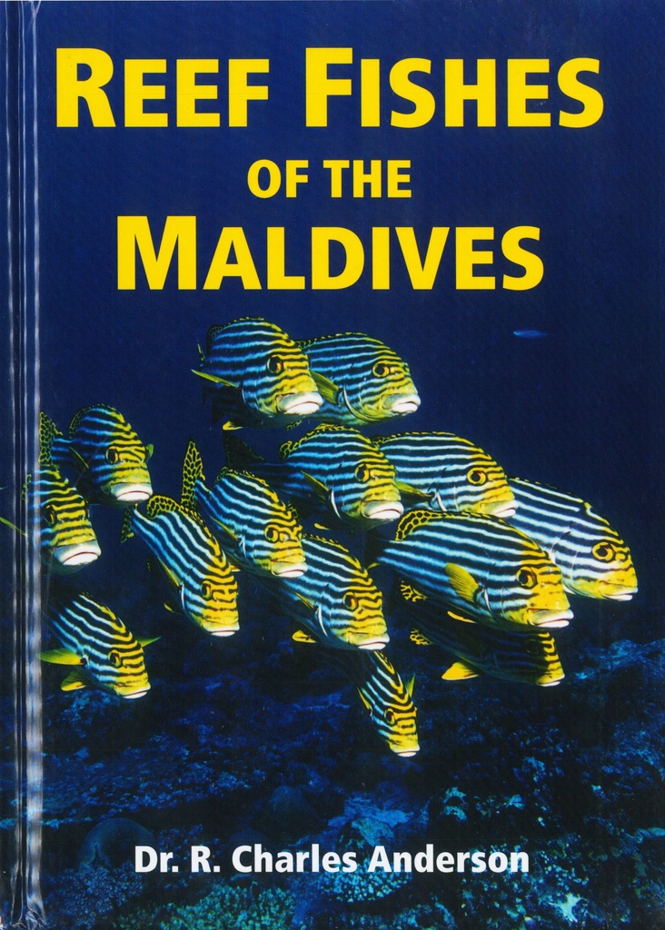Reef Fishes Of Maldives English