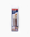 Artist Brush 4 Pcs S66 & S67 Round & Flat
