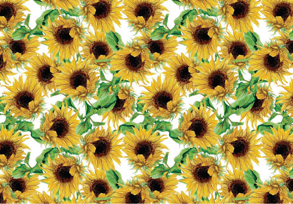 Wrapping Paper 1673-23