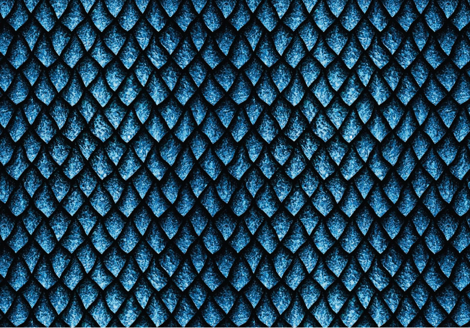 Wrapping Paper 1657-23