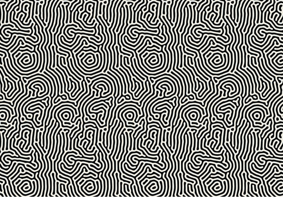 Wrapping Paper 1662-23