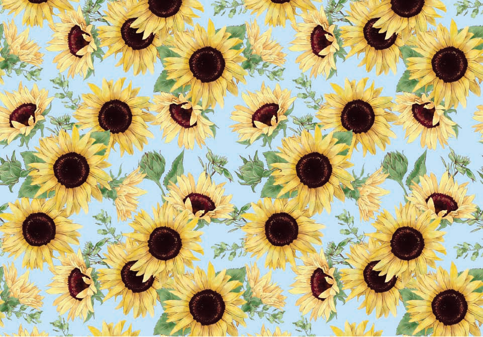 Wrapping Paper 1684-23