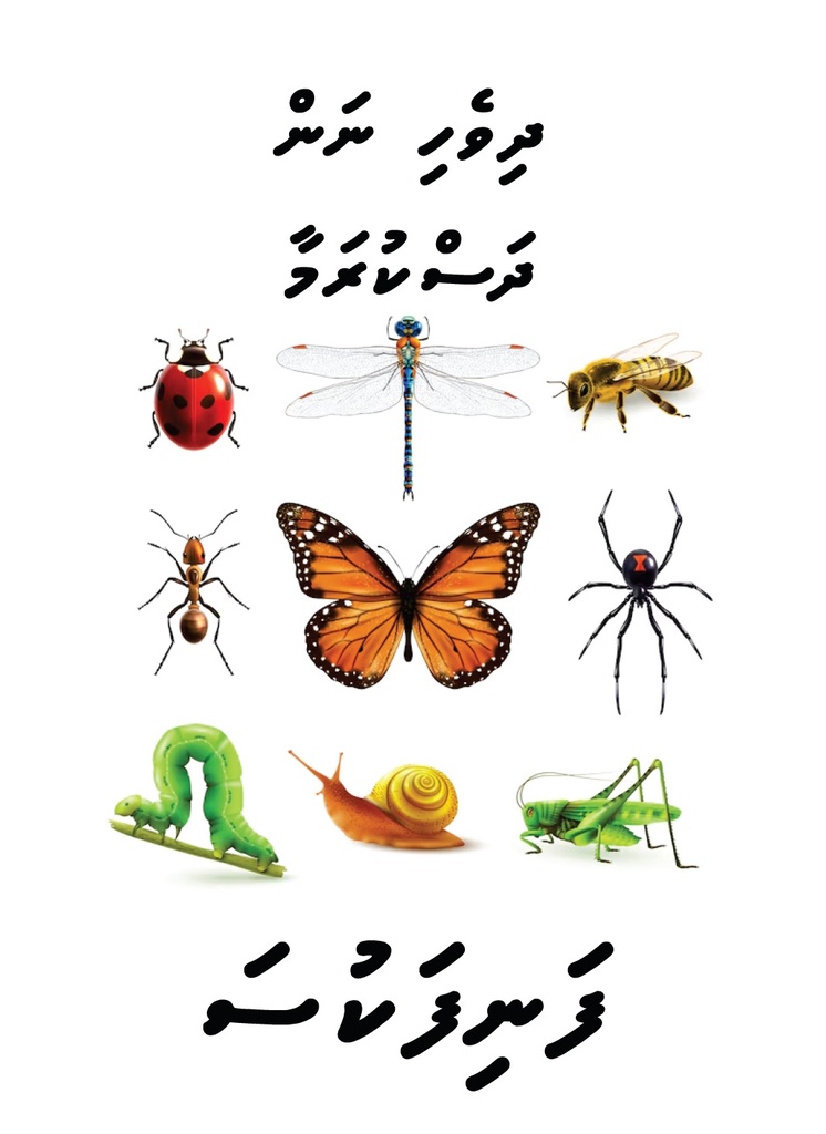 Dhivehi Nan Dhaskurama - Fani Fakusa 