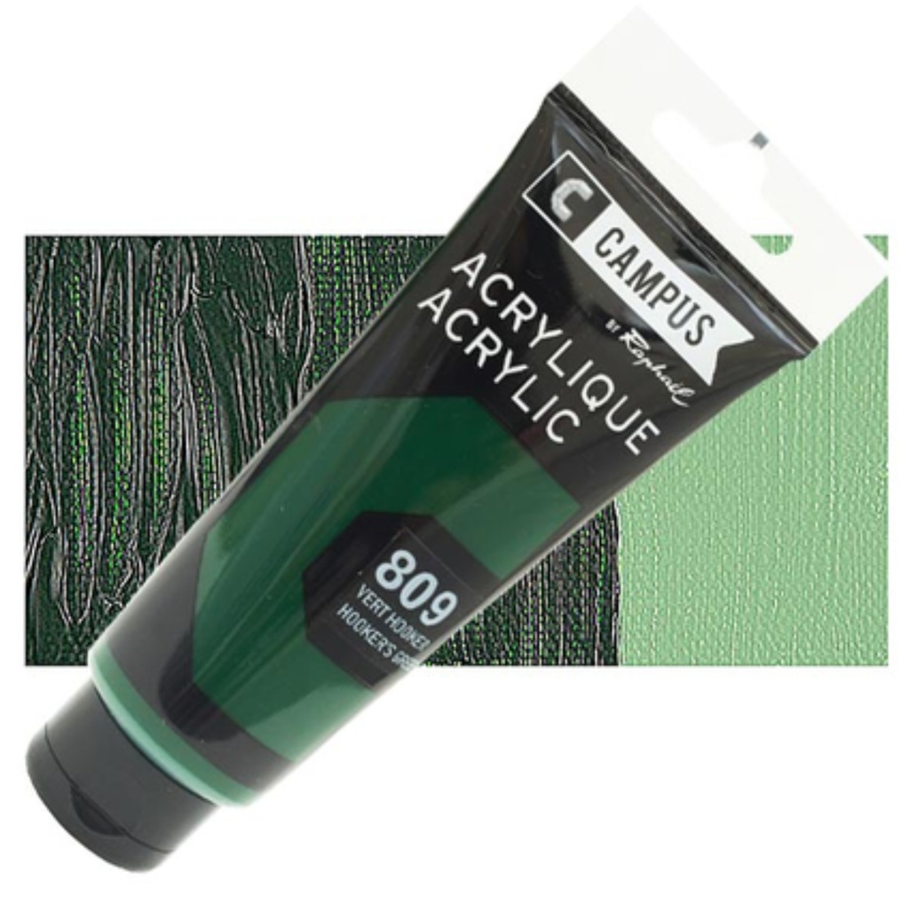 Acrylique Campus 100 ML Hooker's Green