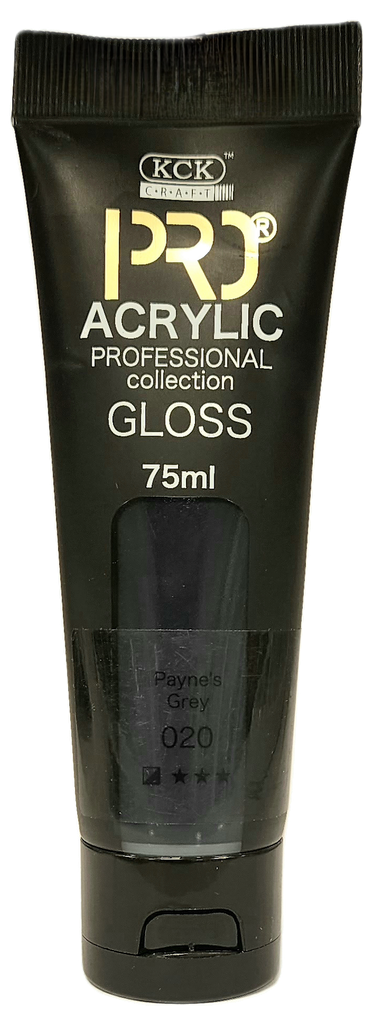 Acrylic Pro 75 ML Paynes Grey