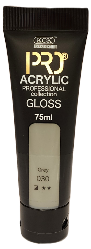 Acrylic Pro 75 ML Grey