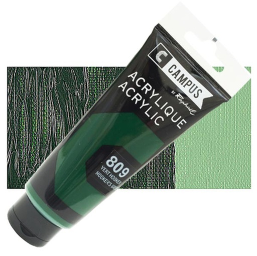 [0260450] Acrylique Campus 100 ML Hooker's Green