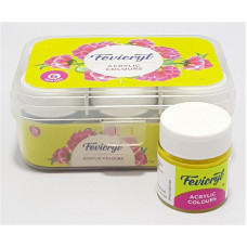 [0262002] Fevicryl Acrylic Colour 10ml Kit 6 Shade