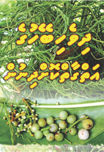 [0940002] Dhivehi Beyhuge Aiy Gaai Kodhinun