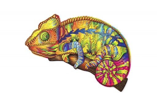 [0360764] Colourful Chameleon