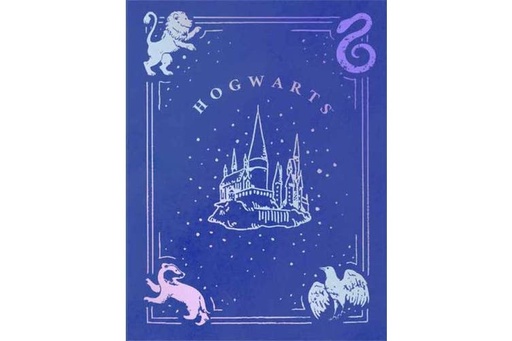 [0480075] Harry Potter Dot Journal