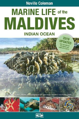 [1100157] Marine Life Of Maldives ENG MV 2019 Edition