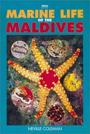 [1100163] Marine Life Of Maldives Italian (Soft)
