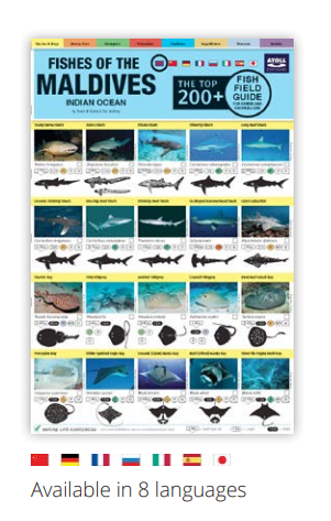 [1100173] Fish Field Guide Russian