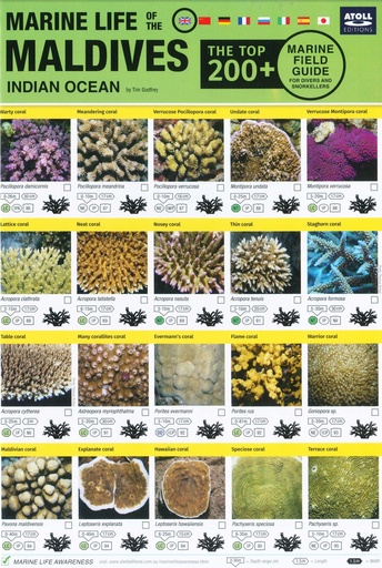 [1100178] Marine Life Field Guide English
