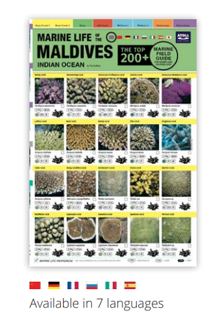 [1100180] Marine Life Field Guide German
