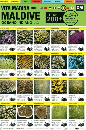 [1100182] Marine Life Field Guide Italian
