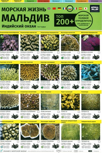 [1100184] Marine Life Field Guide Russian