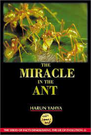 [0900050] The Miracle In The Ant