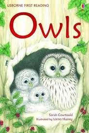 [2009552] Owls